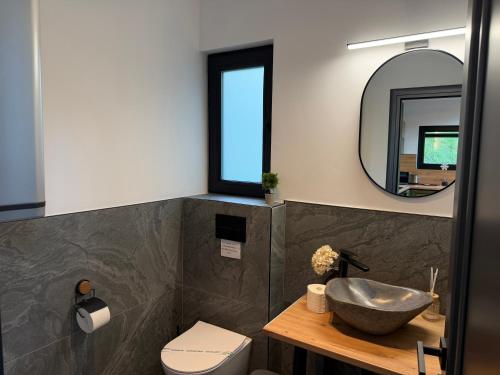 a bathroom with a sink and a toilet and a mirror at Kolibe Doftana in Trăisteni