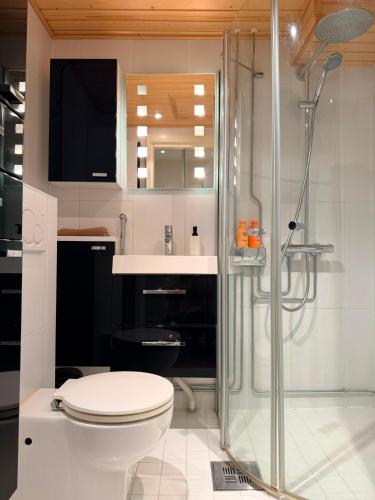 a bathroom with a shower and a toilet and a sink at KODA Walk Everywhere in Rovaniemi