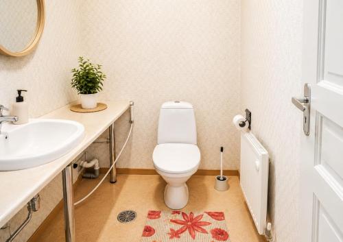 a bathroom with a toilet and a sink at Lakeuden Sydän in Kauhajoki