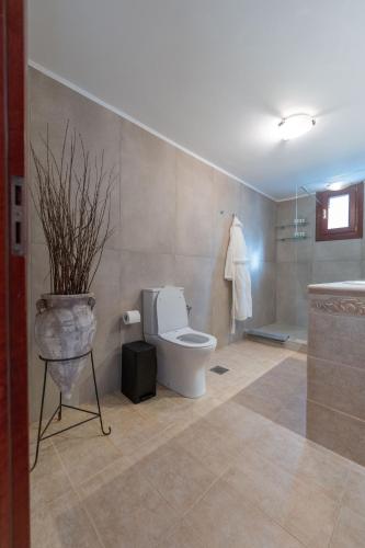 a bathroom with a toilet and a potted plant at Keiz Retreat in Ermoupoli