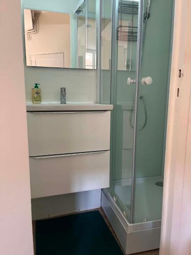 a bathroom with a shower and a sink at L'écrin pure in Falaise
