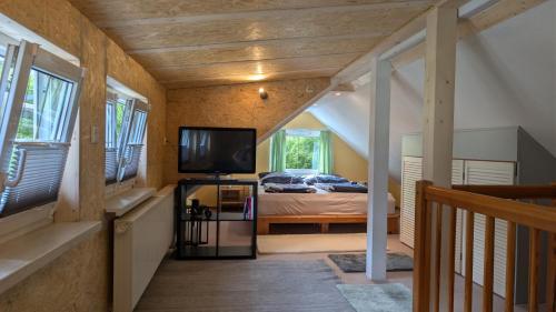 a bedroom with a bed and a tv in a room at Ferienhaus Puttrich in Hohnstein