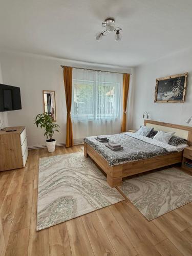 a large bedroom with a bed and a rug at Casa Crisan in Topliţa