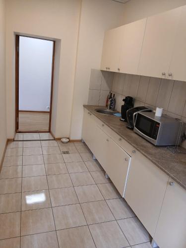 a kitchen with a sink and a microwave on a counter at Venta stay in Ventspils
