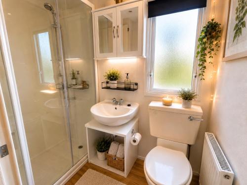 a bathroom with a toilet and a sink and a shower at Luxury Family Caravan St Osyth Beach Clacton on Sea in Saint Osyth