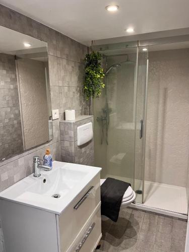 Studio Mezzanine - Clim Balcon - centre ville