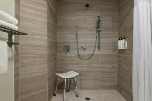 a shower stall with a stool in a bathroom at SpringHill Suites by Marriott - Tampa Brandon in Tampa