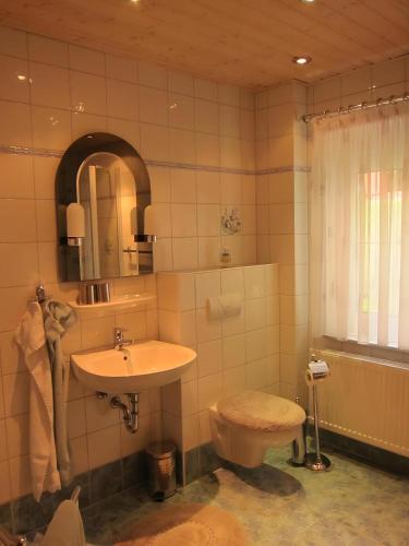 a bathroom with a sink and a toilet at Ferienwohnungen Haseloff in Kurort Oberwiesenthal