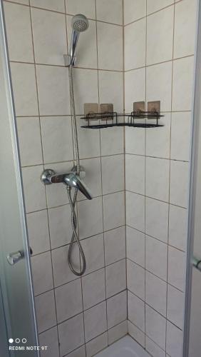 a shower with a shower head in a bathroom at Chata Johanka in Stachy