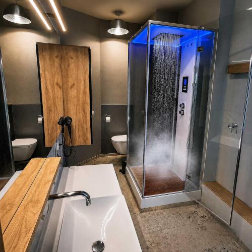 a bathroom with a shower and a white sink at Villa Kirnach Private Spa Retreat im Allgäu in Biessenhofen