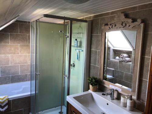 a bathroom with a shower and a sink and a mirror at Hill Crest Gite in Vengeons