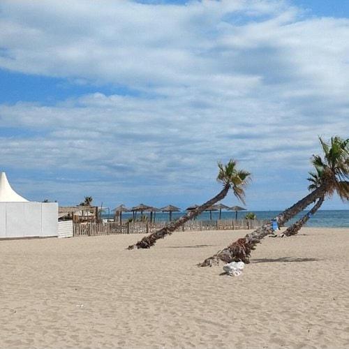 Appart T2 4 pers 50 m de la mer avec piscine