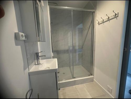 Appart T2 4 pers 50 m de la mer avec piscine