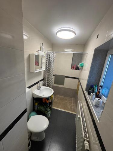 a small bathroom with a toilet and a sink at Landshuter str 17 in Straubing