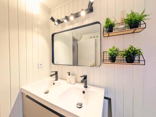 a bathroom with a sink and a mirror and plants at Apartamento Casa Blanca in Tramacastilla de Tena