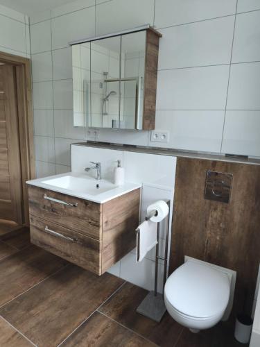 a bathroom with a sink and a toilet and a mirror at Domek na Polanie Rekowo in Pollnow