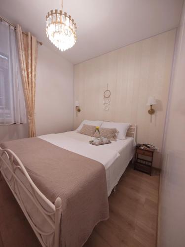 Apartment Q 4star