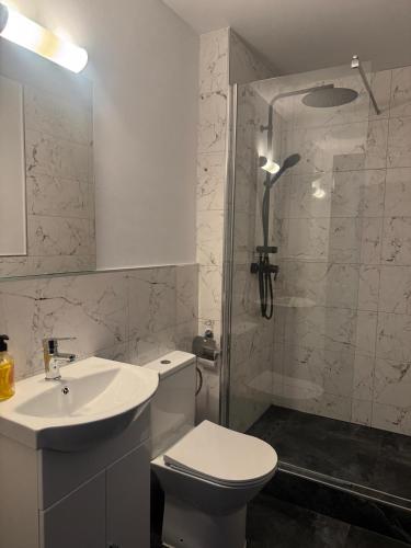 a bathroom with a toilet and a sink and a shower at Casa David in Rădăuţi