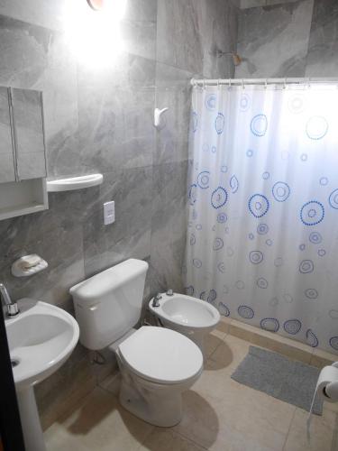 a bathroom with a toilet and a sink and a shower at Ayinmai departamento C in Trelew