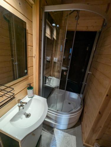a bathroom with a shower and a sink and a toilet at Villa Beskid Milòwka in Milówka