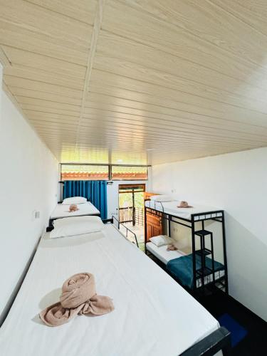 a room with two beds and a hat on top at Glowhaven Hostel in Sigiriya