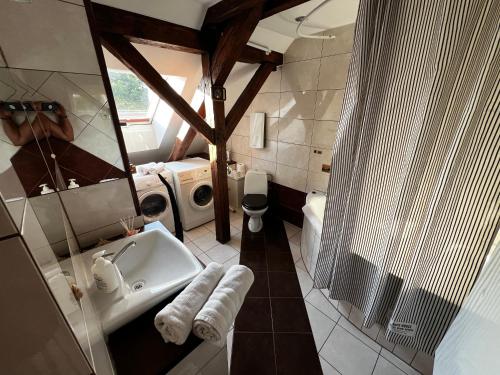 a bathroom with a sink and a toilet and a shower at Apartament przy Wyspie in Piła
