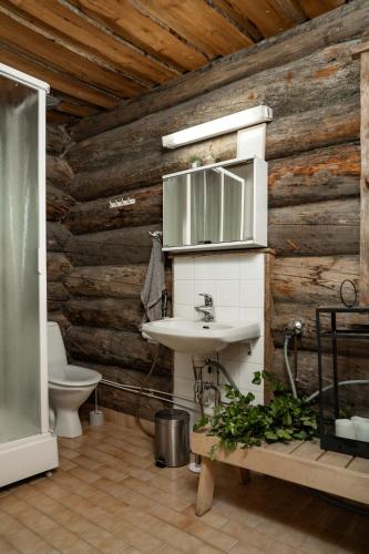 a bathroom with a sink and a toilet at Rukan Lumikelo in Kuusamo