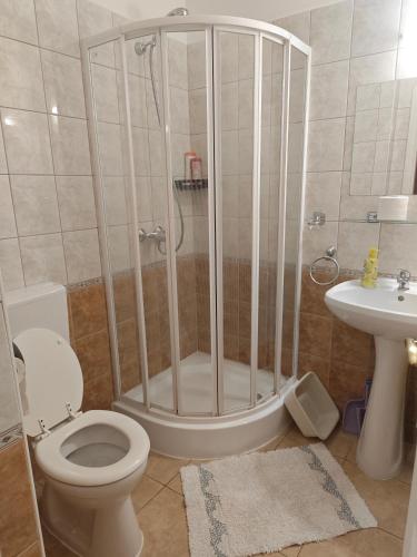 a bathroom with a shower with a toilet and a sink at Villa Ladver in Hévíz