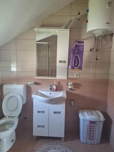 ein Badezimmer mit Toilette, Waschbecken und Spiegel in der Unterkunft Apartman SELMA in Vogošća