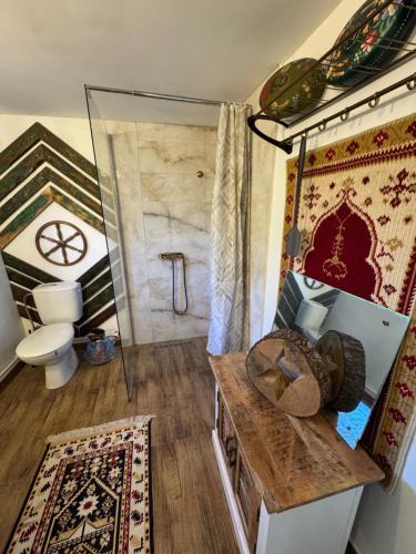 a bathroom with a glass shower and a toilet at Căsuța Rustică in Muncelu Mare