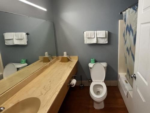 a bathroom with a sink and a toilet and a mirror at Crown Inn in Carrollton