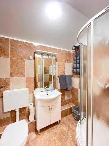 a bathroom with a toilet and a sink and a shower at Villa Canyon Escape 12 Personen in Bilišane