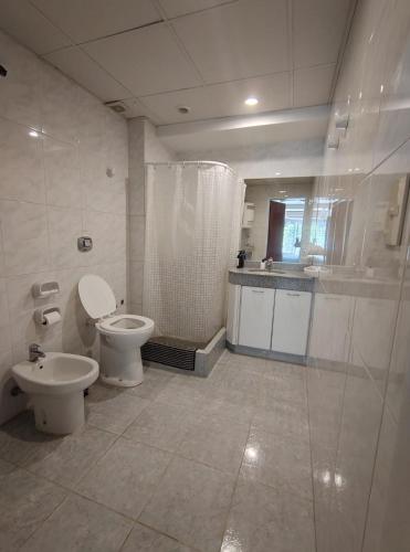 a bathroom with a toilet and a shower and a sink at Apart Zeta in Belén de Escobar