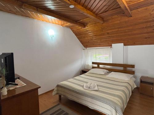 a bedroom with a bed and a desk and a television at Rustic Argesean in Corbeni