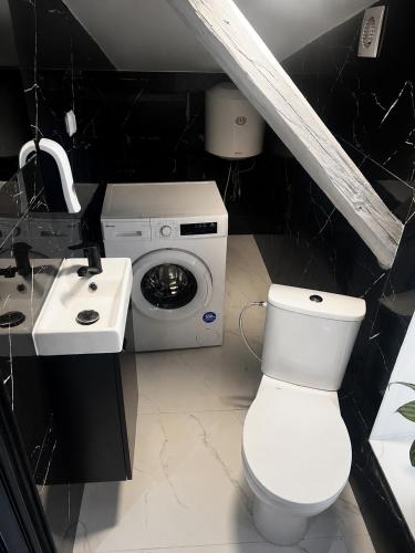 a bathroom with a white toilet and a sink at Apartament NOVA in Nowa Ruda