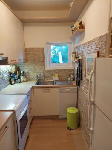 Vouliagmeni Apartment Opposite The Margi