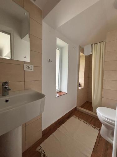 a bathroom with a sink and a toilet at Rustic Argesean in Corbeni