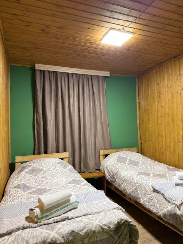 two beds in a room with green walls and a window at Sky Tusheti in Omalo