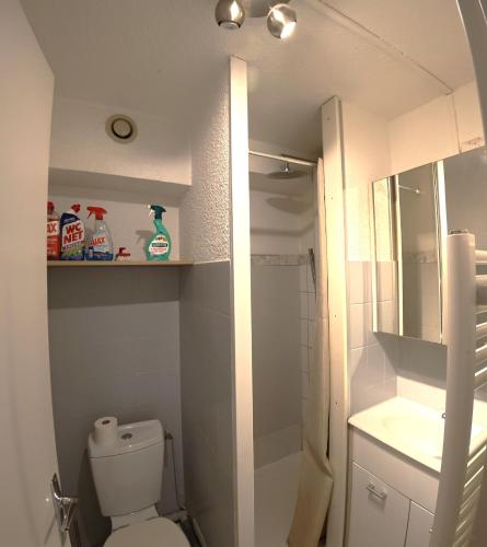 a bathroom with a toilet and a sink and a mirror at Charmant studio Toi et Moi à 30 m de la plage et de Valras centre avec linge de lit et ménage inclus in Valras-Plage