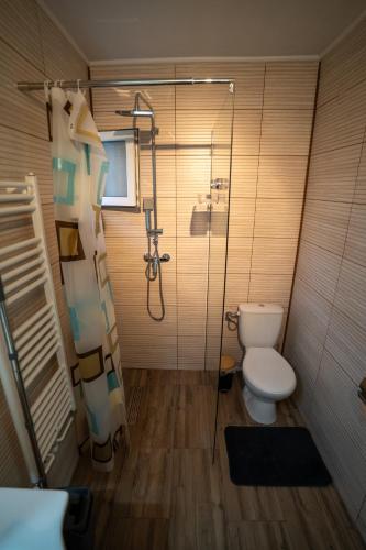 a bathroom with a shower and a toilet in it at Klára House - Covasna in Covasna
