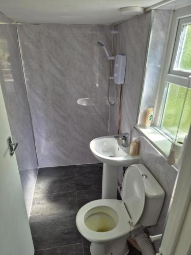 a small bathroom with a toilet and a sink at Seascape Spa Retreat in Niton