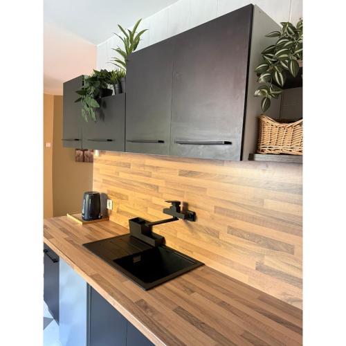 a kitchen with a sink and a counter top at TIÉD Apartman in Kiskunmajsa