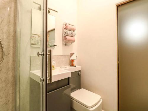 a small bathroom with a toilet and a sink at Tiny Home with Hot Tub in Roydon