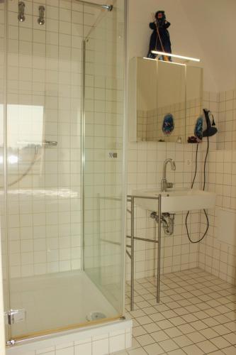 a bathroom with a shower and a sink at Hexnquartier in Braunlage
