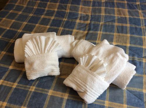 Φωτογραφία από το άλμπουμ του Hotel Aurora σε Loano