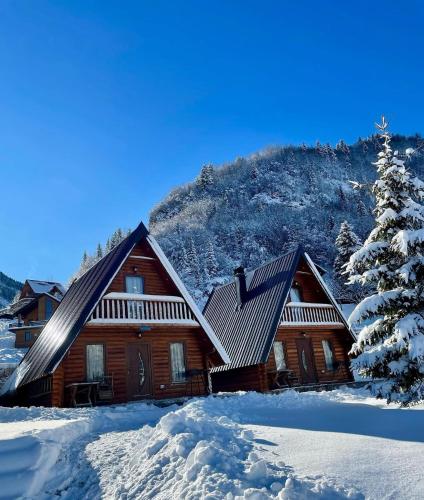 a log cabin in the snow with a tree at Bujtina n'kullë in Boge