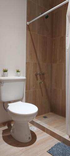 a bathroom with a toilet and a shower at Alquiler cintia in Gualeguaychú