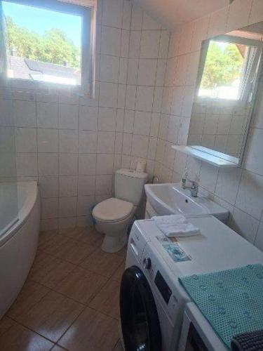 a bathroom with a toilet and a sink and a washing machine at Apartament dwupoziomowy z 2 sypialniami in Ujazdowo