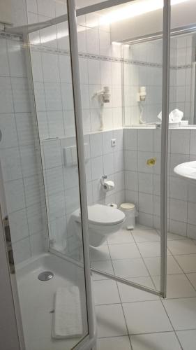 a bathroom with a shower and a sink and a toilet at Pension Rabennest, Flexibler Selbst-Check-In, Keine Rezeption in Raben Steinfeld