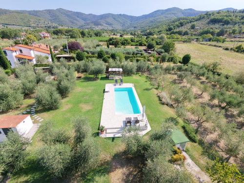 an aerial view of a garden with a swimming pool at Il Piccolo Oliveto in Arezzo